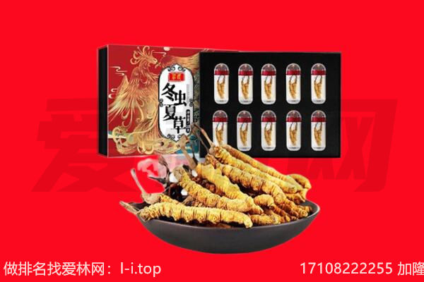 宁德柘荣县回收虫草.jpg